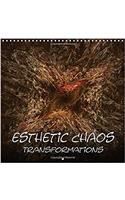 Esthetic Chaos Transformations 2017