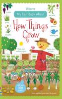 My First Book About How Things Grow