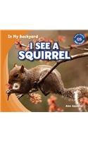 I See a Squirrel