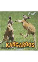 Kangaroos