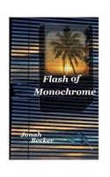 Flash of Monochrome: (English)