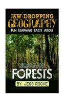 Jaw-Dropping Geography: Fun Learning Facts about Fabulous Forests: Illustrated Fun Learning for Kids