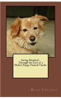 Saving Meatloaf... Through the Eyes of a Shelter Puppy Named Charlie