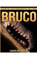 Bruco