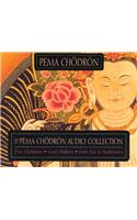 The Pema Chodron Collection