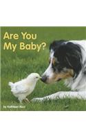Are You My Baby?