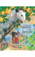 There's an Opossum in My Backyard