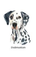 Dalmatian: Large Lined Journal 8.5 x 11