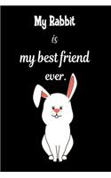 My rabbit is my best friend ever.