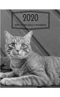 2020 One Year Daily Planner: Beautiful Kitty Cat Themed - Day Planner Journal Notebook