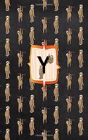 Y
