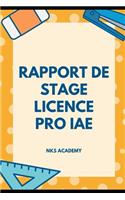 Rapport de stage Licence pro IAE