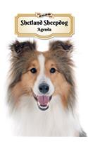 2020 Shetland Sheepdog Agenda: 107 Pagine - Dimensioni DIN A5 - Pianificatore Settimanale - 12 Mesi - Due Pagine Per Settimana - Calendario - Diario - Cane