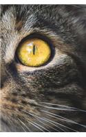 Cat Notebook