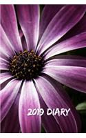 2019 Diary: African Daisy Week to View Planner (6x9 80 Pages A5)