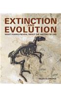 Extinction and Evolution