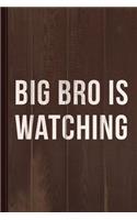 Big Bro Is Watching Journal Notebook: Blank Lined Ruled for Writing 6x9 120 Pages