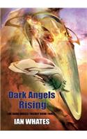 Dark Angels Rising