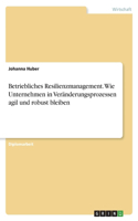 Betriebliches Resilienzmanagement. Wie Unternehmen in Veränderungsprozessen agil und robust bleiben