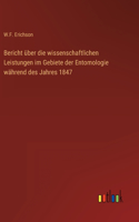 Bericht über die wissenschaftlichen Leistungen im Gebiete der Entomologie während des Jahres 1847