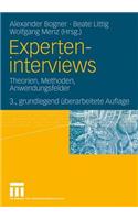Experteninterviews