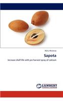 Sapota