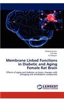 Membrane Linked Functions in Diabetic and Aging Female Rat Brain