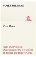 Your Plants Plain and Practical Directions for the Treatment of Tender and Hardy Plants in the House and in the Garden
