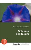 Solanum Ensifolium: (English)