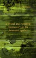 critical and exegetical commentary on the Johannine epistles