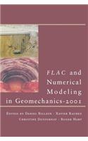 FLAC and Numerical Modeling in Geomechanics - 2001