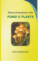 Effluent Remediation with Fungi and Plants