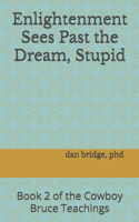 Enlightenment Sees Past the Dream, Stupid