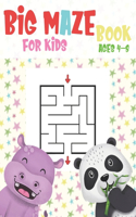 Big Maze Book