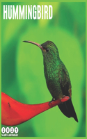Hummingbird 2021 Calendar