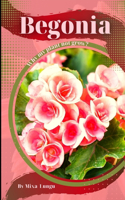 Begonia: Why my Plant not grow? problems and their solutions