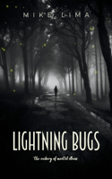 Lightning Bugs: the iceberg of mental illness