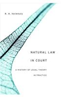 Natural Law in Court