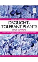 Drought-tolerant Plants