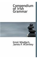 Compendium of Irish Grammar