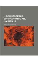 Schistocerca, Sphingonotus and Halmenus