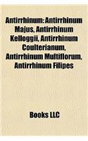 Antirrhinum Antirrhinum: Antirrhinum Majus, Antirrhinum Kelloggii, Antirrhinum Coulteantirrhinum Majus, Antirrhinum Kelloggii, Antirrhinum Coulterianum, Antirrhinum Multiflo(English)