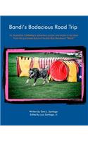 Bandi's Bodacious Road Trip