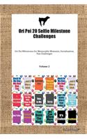 Ori Pei 20 Selfie Milestone Challenges Ori Pei Milestones for Memorable Moments, Socialization, Fun Challenges Volume 2