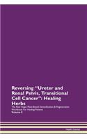 Reversing 'ureter and Renal Pelvis, Tran