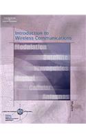 Wireless Telecommunications Systems and Networks