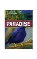 Birds in Paradise