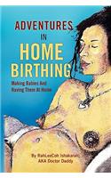 Adventures in Home Birthing: Making Babies and Having Them at Home(English)