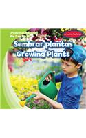 Sembrar Plantas / Growing Plants