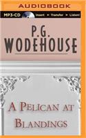 Pelican at Blandings